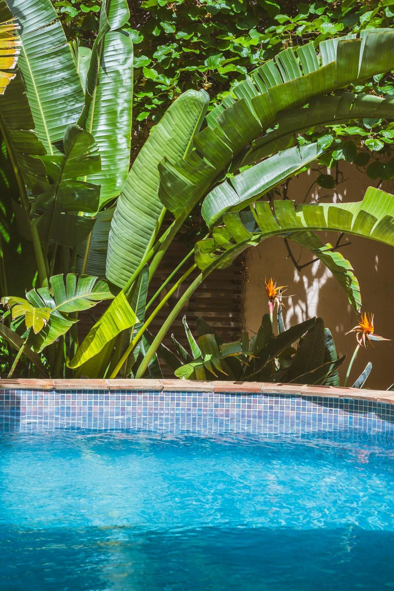 Maison Magdeleine Villa Saint-Tropez